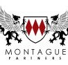 Montague Partners - Hobart Accountants