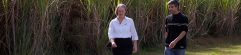 AB Accounting Maclean - Hobart Accountants 0