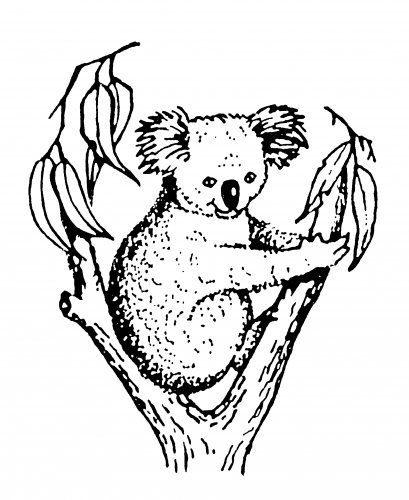 Koala Accounting & Taxation - Hobart Accountants 2