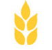 Gibson  Co - Hobart Accountants