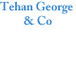 Tehan George  Co - Hobart Accountants