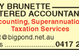 Desley Brunette Chartered Accountant - thumb 2