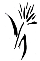 Bloomfield & Associates - Hobart Accountants 0