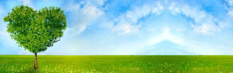 BBS - Business Bookkeeping Solutions - Hobart Accountants 3