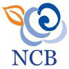 NCB Business Bookkeeping Services