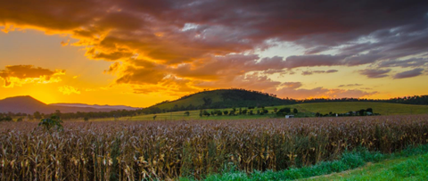 CQ Accounting Services - Hobart Accountants 1