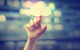 Kern Group - thumb 7