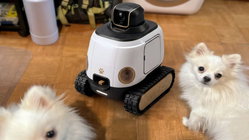 AI robot may stop your dog from barking while you're gone Hobart Accountants