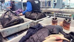Airport X-ray reveals shocking illegal stash concealed beside passenger's Xbox Hobart Accountants