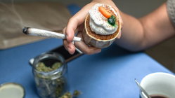 Cannabis cafes may become tourist draw in US city as lung experts cite 'toxic chemical' concerns Hobart Accountants