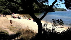Deadly mystery unfolds as canoeists are found unresponsive after midnight trip Hobart Accountants