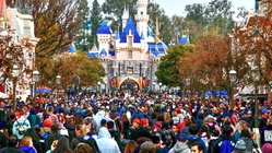 Disneyland guests left scrambling after water outage shuts bathrooms and restaurants Hobart Accountants