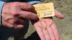 Grandfather finds hidden treasure in plain sight as park officials 'dumbfounded' by discovery Hobart Accountants