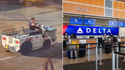 Intruder breaches airport security, takes stolen tarmac vehicle on reckless rampage Hobart Accountants