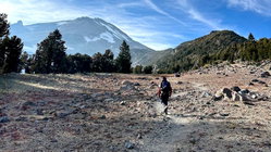 Mount Shasta climber recounts harrowing 500-foot slide, overnight crawl to safety: report Hobart Accountants