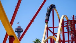 Popular amusement park bans guest for life after roller coaster stunt viral video Hobart Accountants