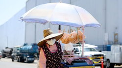 Rotting food stench still hangs over neighborhood weeks after massive warehouse blaze Hobart Accountants